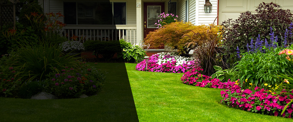 Cornelius Landscapers